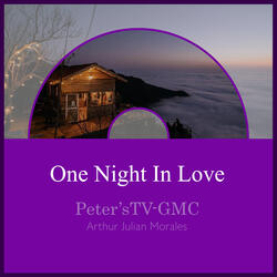 One Night in Love