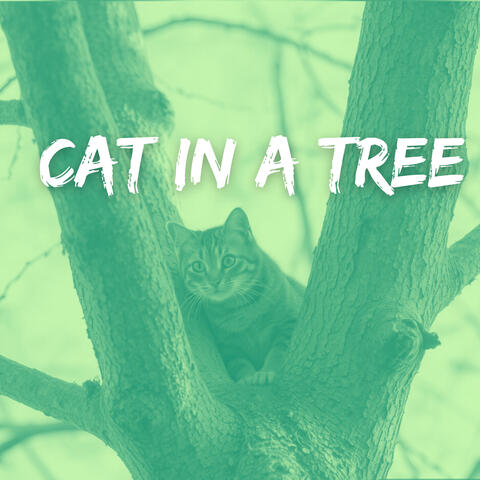 Cat in a Tree