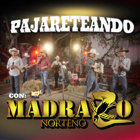 Pajareteando