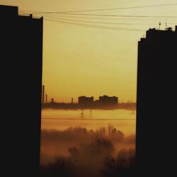 The Mosquito and the Bee