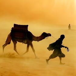 Едем на восток