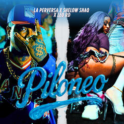 Piloneo