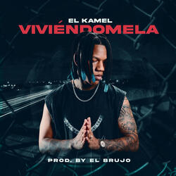 Viviendola