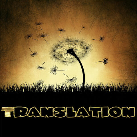 Translation