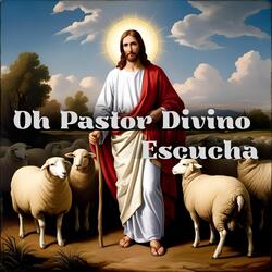 Laudato Sii o Mi Signore