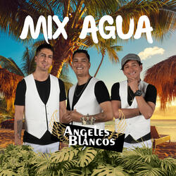 Mix Agua: Mil Amores / Si Tu Dices Quererme