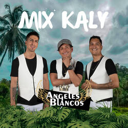 Mix Kaly: Amor Amar / Juramentos / Que Paso