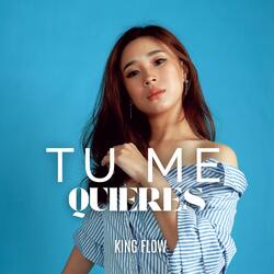 Tu Me Quieres