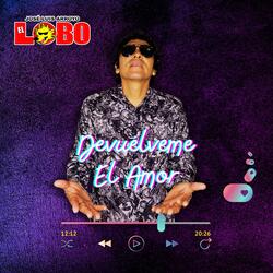 Devuélveme el Amor