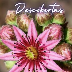 Descobertas