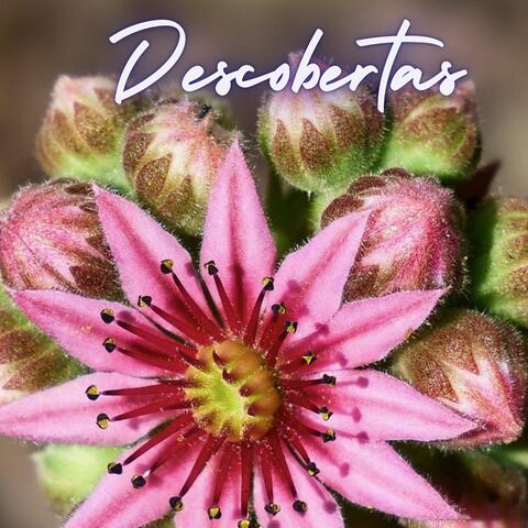 Descobertas