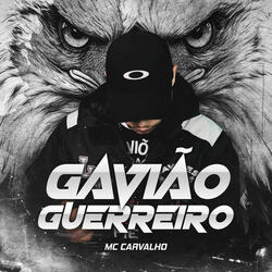 Gavião Guerreiro