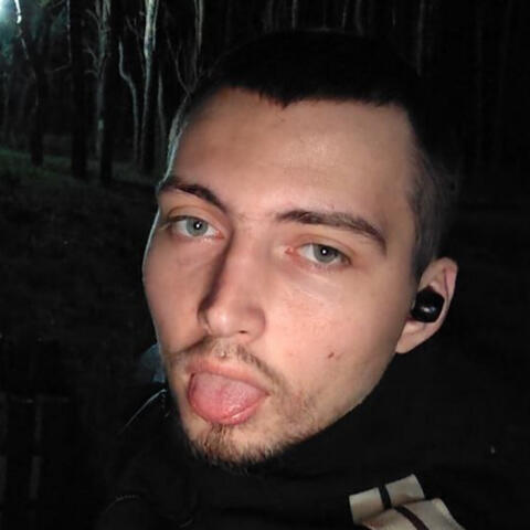 Пьяный ворон