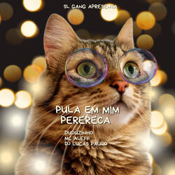 Pula em Mim Perereca