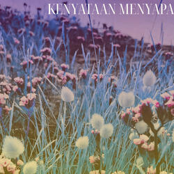 Kenyataan Menyapa