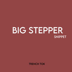 Big Stepper Snippet