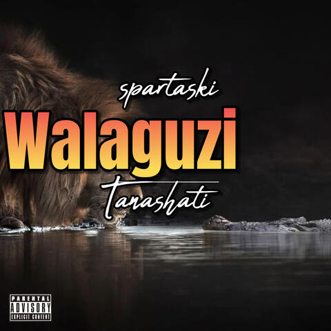 Walaguzi Tanashati