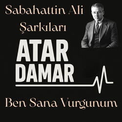 Sabahattin Ali Şarkıları - Ben Sana Vurgunum
