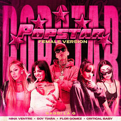 Popstar Remix V.F.
