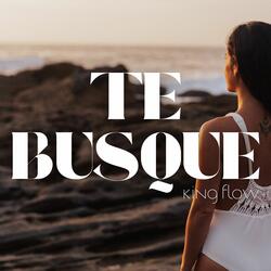 Te Busque