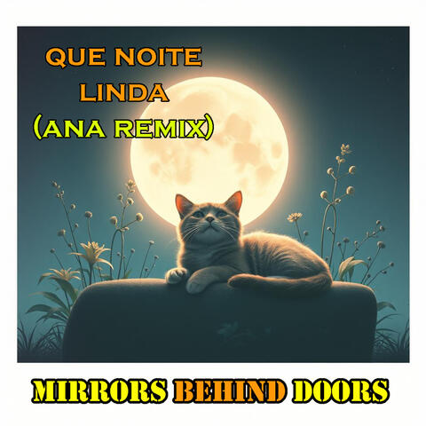 Que Noite Linda (Ana Remix)