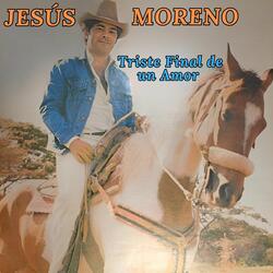 Triste Final de un Amor