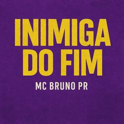 Inimiga do Fim