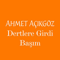 Dertlere Girdi Başım
