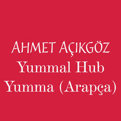 Yummal Hub Yumma