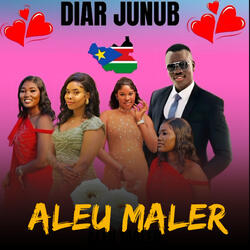 Diar Junub