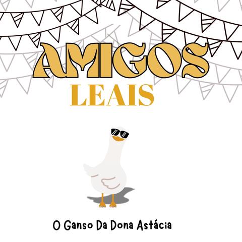 O Ganso da Dona Astácia