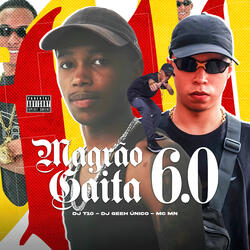 Magrão Gaita 6.0
