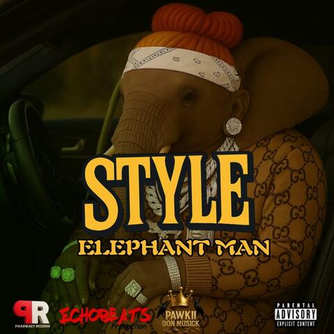 Style