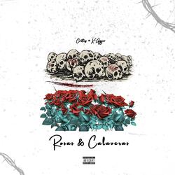Rosas & Calaveras