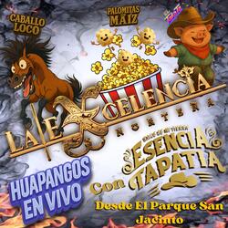 Caballo Loco
