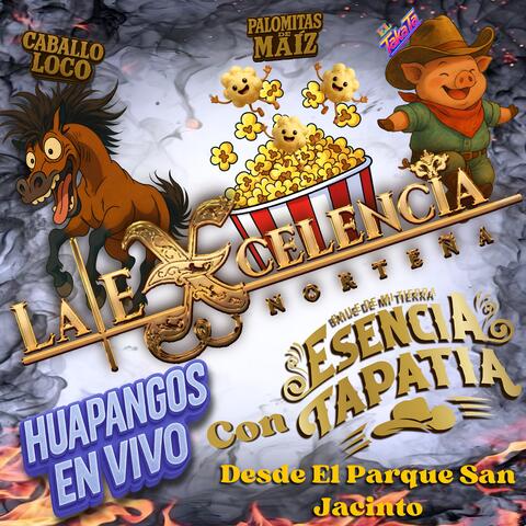 Huapangos en Vivo Con Esencia Tapatia