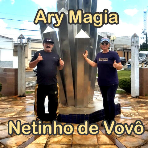 Netinho de Vovô