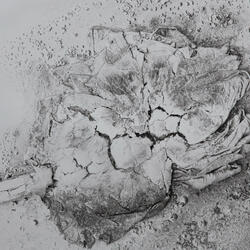 Jean-Philippe Rameau: Suite in E minor, RCT 2 (Le Rappel des Oiseaux)