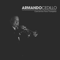 Concierto en Re Mayor: Allegro