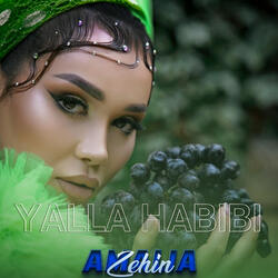 Yalla Habibi