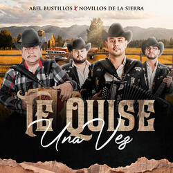 Te Quise una Vez