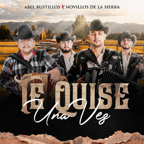 Te Quise una Vez