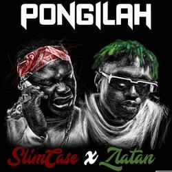 Pongilah
