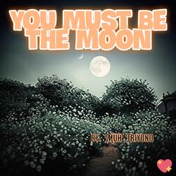 You Must Be the Moon