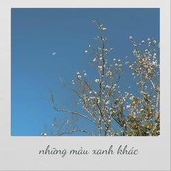 Vòng Tay Màu Ngọc Bích
