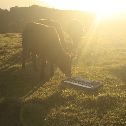 O Maior Álbum do Ano