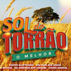 Fui à Ceifa do Alentejo