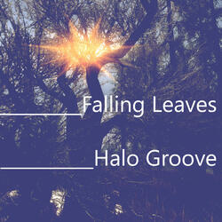 Halo Groove