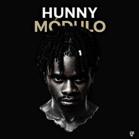 Módulo