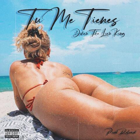 Tu Me Tienes
